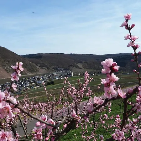 דירה Gaestehaus Preuss