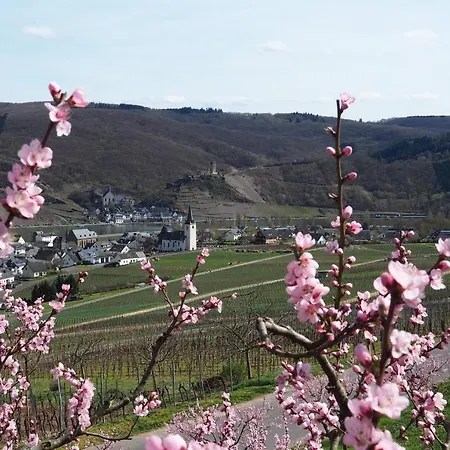Gaestehaus Preuss * Ellenz-Poltersdorf