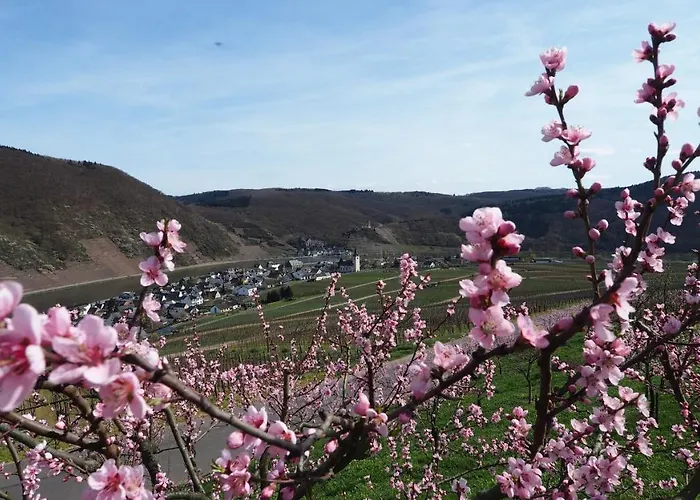 아파트 Gaestehaus Preuss